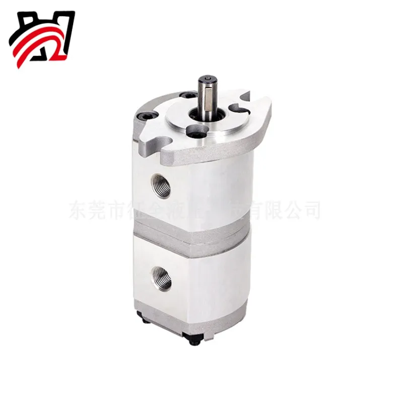 

HGP-11A-F123456-123456R Hydraulic Pump Gear Oil Pump Booter Pump Motor Elevator Forklift Mechanical Automation Accessories