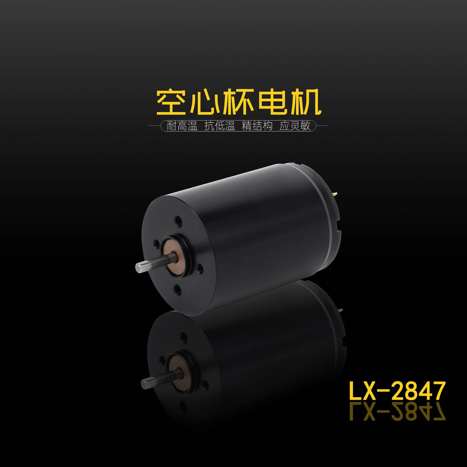 2025 Faradyi Personalizzato di Vendita Caldo Mini 28mm 12v 24v Opzionale Brushless Ad Alta Velocità 3000rpm 5000rpm 8000rpm Bldc Motore Coreless