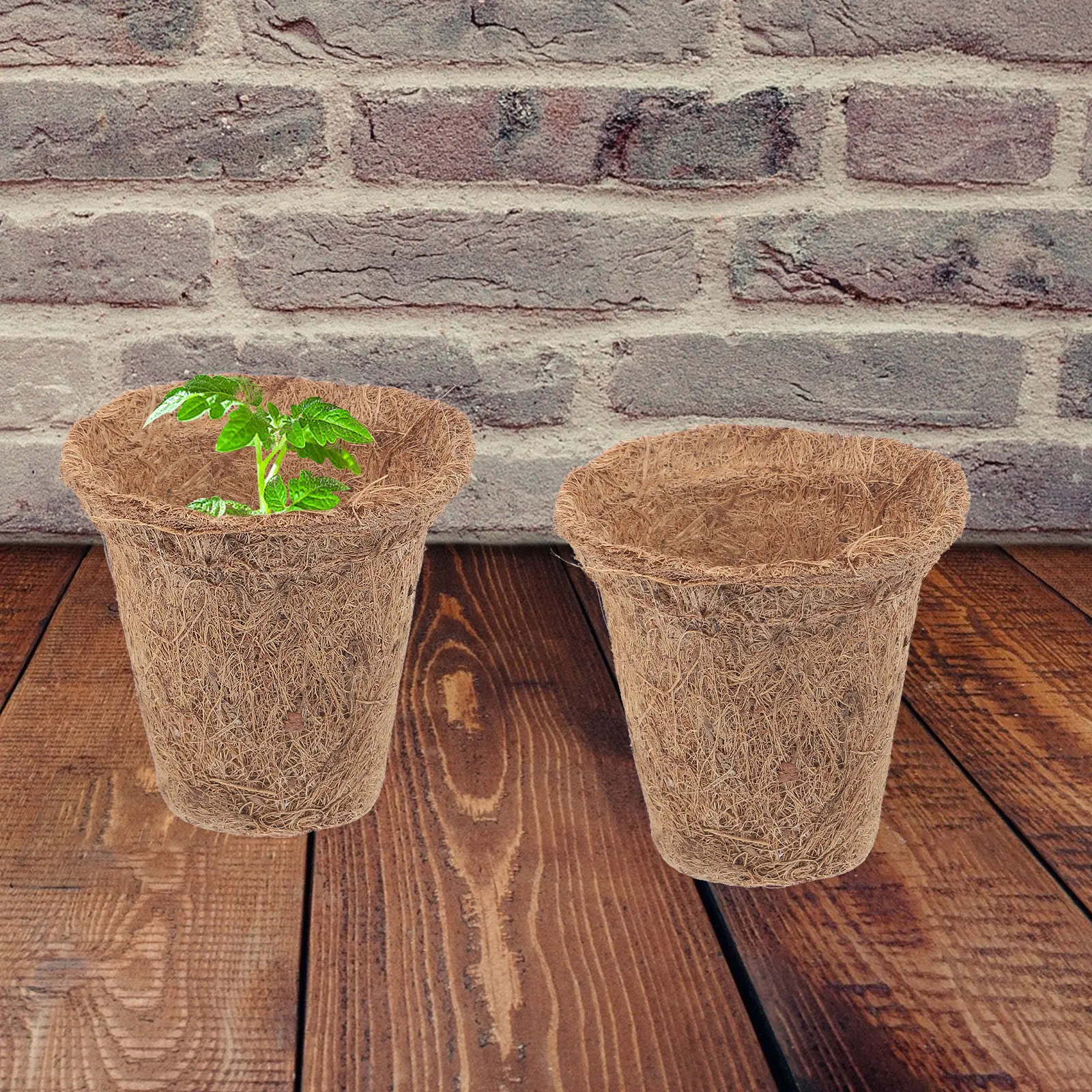1Set Coir Round Plant Pots Breathable Water-Absorbent Fiber Nursery Pots for Seedling Cultivation Germination