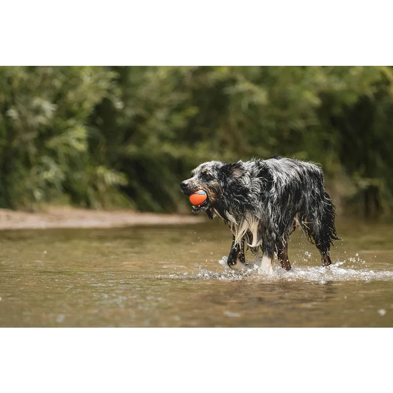 Thumbnail 3 - #29 Top 30 Dog Balls Worth Buying In 2026