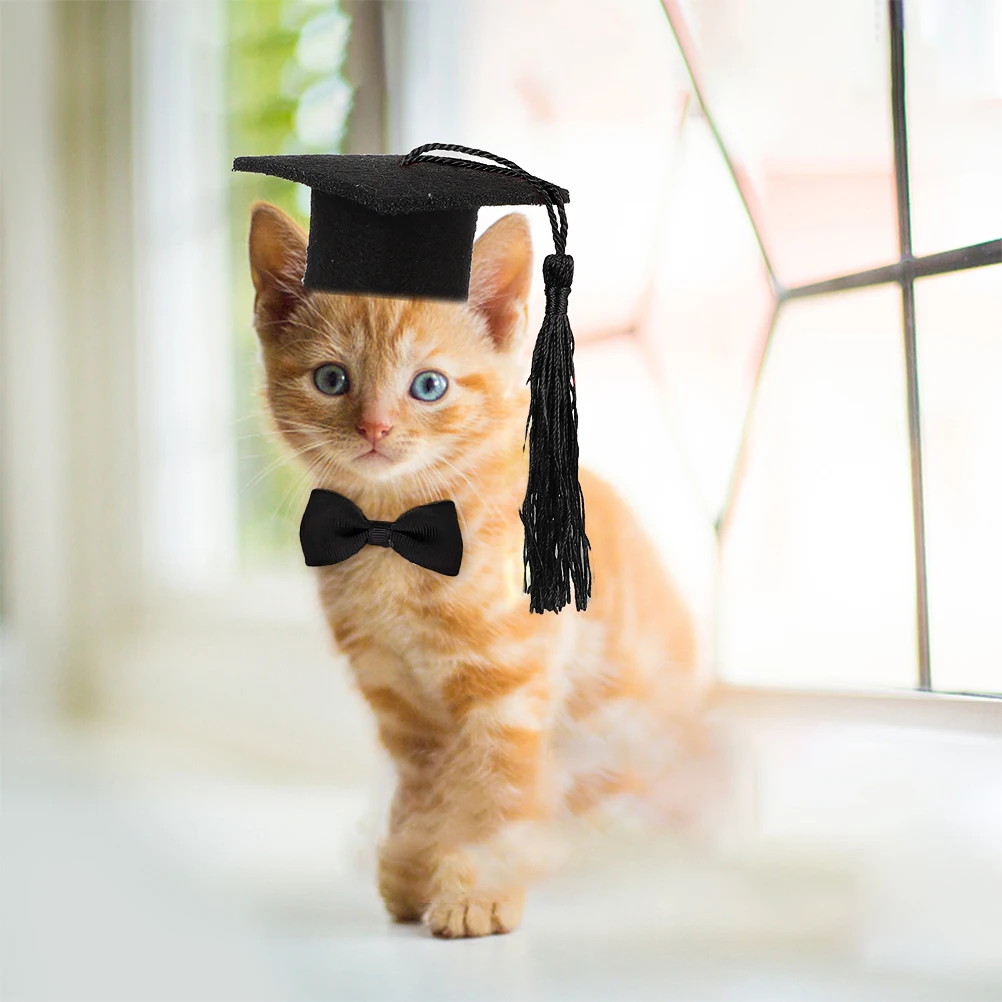 

2pcs Pet Bachelor's Hat Set Adjustable Elastic Band Dog Cat Hamster Guinea Pig Small Pets Accessories Black Tassel Graduation