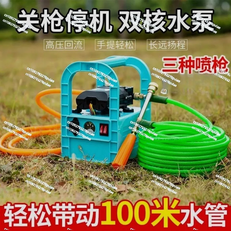 Portable Electric Spray Agricultural Charging Pesticide Sprayer Vegetable Flower Watering High-Pressure Car Washing Pump