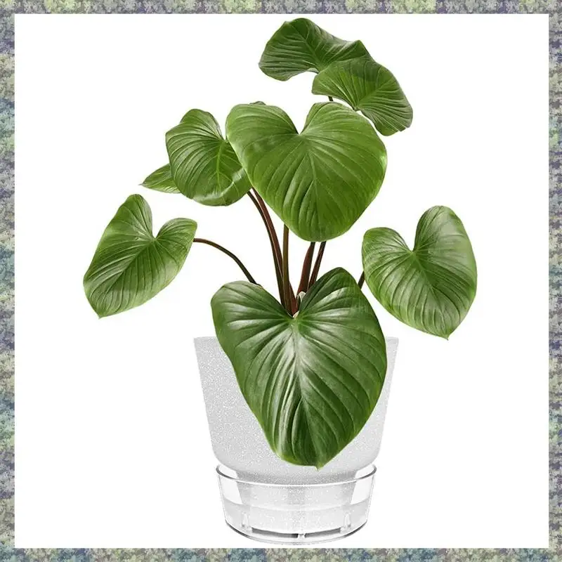 

WON 5 Pcs Self Watering Plant Pot With Visual Reservoir For Tropical Plants For House Plants,Herbs,Indoor Outdoor Grey