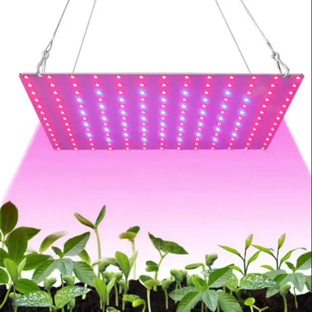 Luce per la crescita delle piante a LED Spettro completo 169 Perline Design sottile con gancio Luce rossa blu per piantine Verdure Erbe