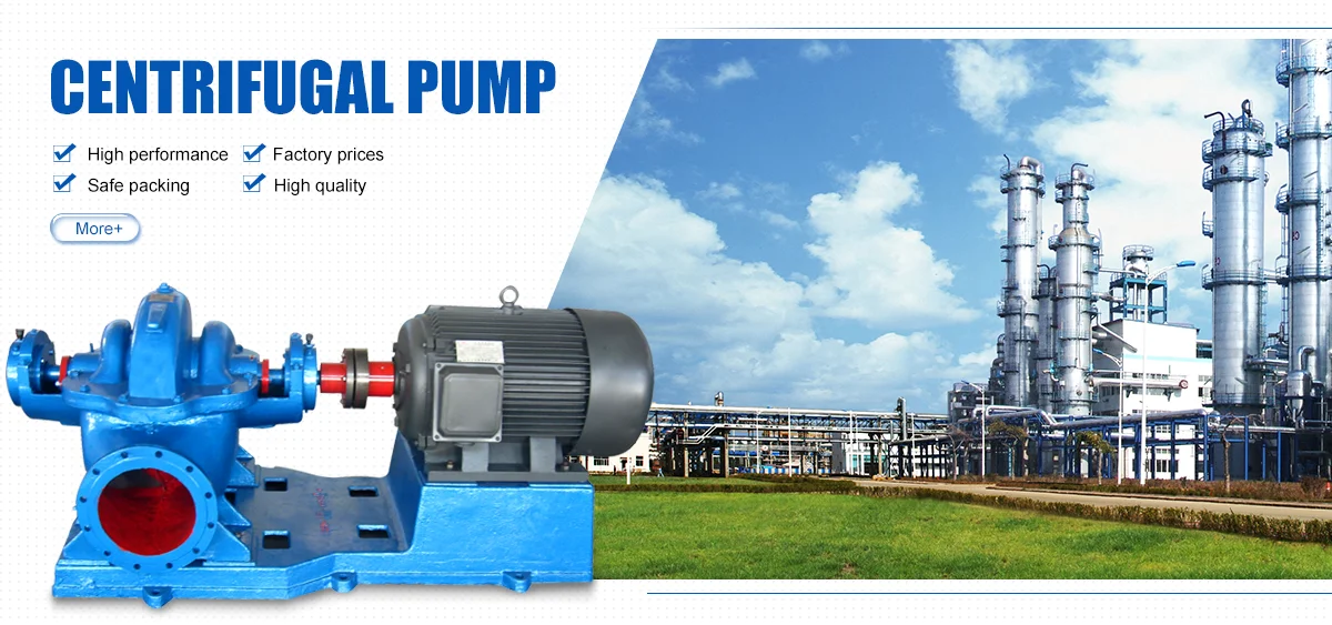 OEM Large Flow High Head Good Price Double Suction Water Pump With High Quality