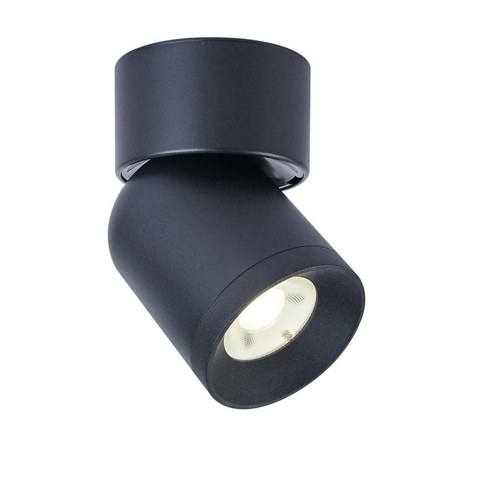 Surface Mounted LED Downlight 7W 12W CRI90 Dimmable Adjustable Angle Ceiling Lamp for Living Room Corridor Foyer Indoor Lighting