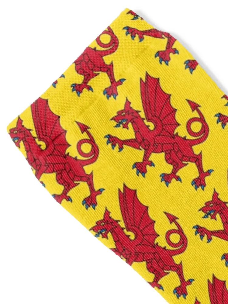 Somerset County Flag Socks Children's Run Stockings aesthetic Girl'S Socks Men's