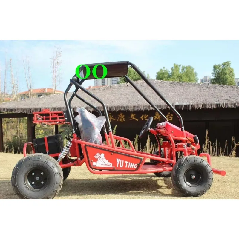 New Arrival 2-Seater  Parent-Child Go Kart | 60V 750W High-Performance Racing Kart for Sale