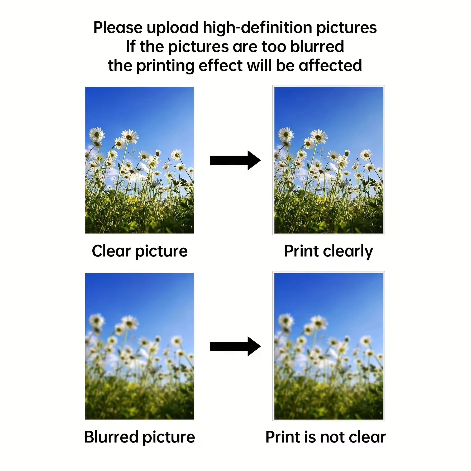 مخصص طباعة قماش اللوحة بواسطة صورتك قماش المشارك هدية شخصية تخصيص الشكل الحيوان الحيوانات الأليفة صور ديكور المنزل يطبع