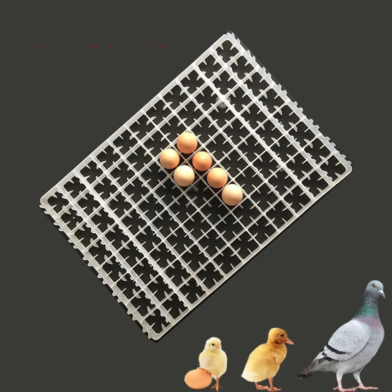 88/112/221 Grid Chicken Eggs Tray For Duck Quail Bird Poultry Egg Incubator Machine Sorting Shipping Eggs Container