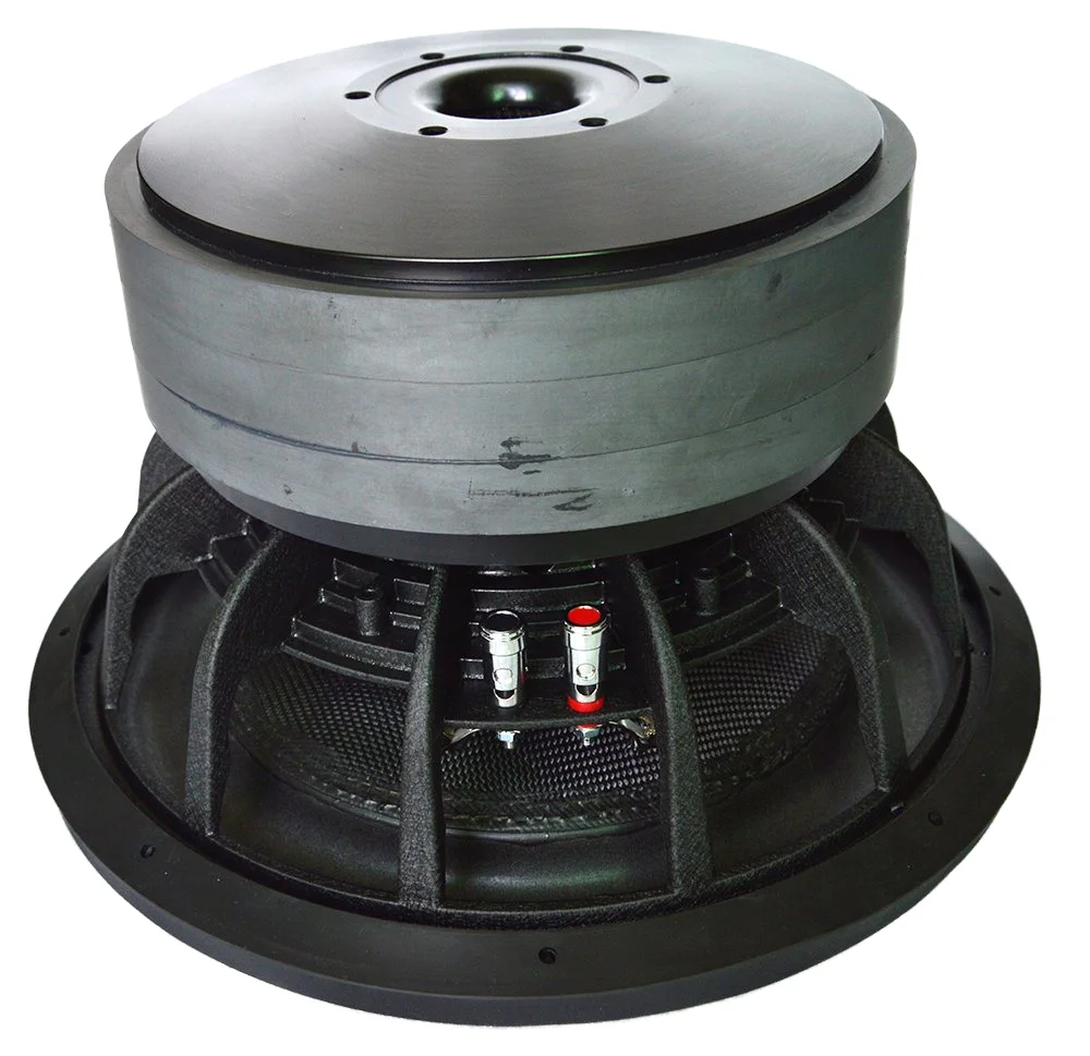 China Factory Wholesale 12 Inch 3000W Dual 4 Ohm Car Audio Powered Subwoofer 24V 10inch Size Paper Foam 800W 2000W 12V Supply