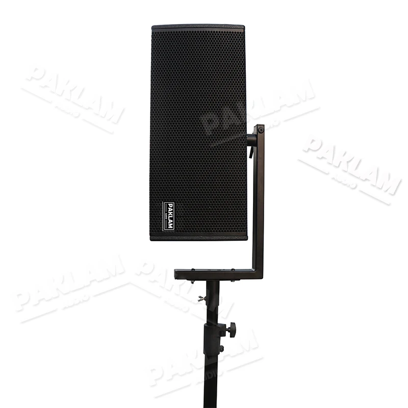 dual 8 inch full range speaker