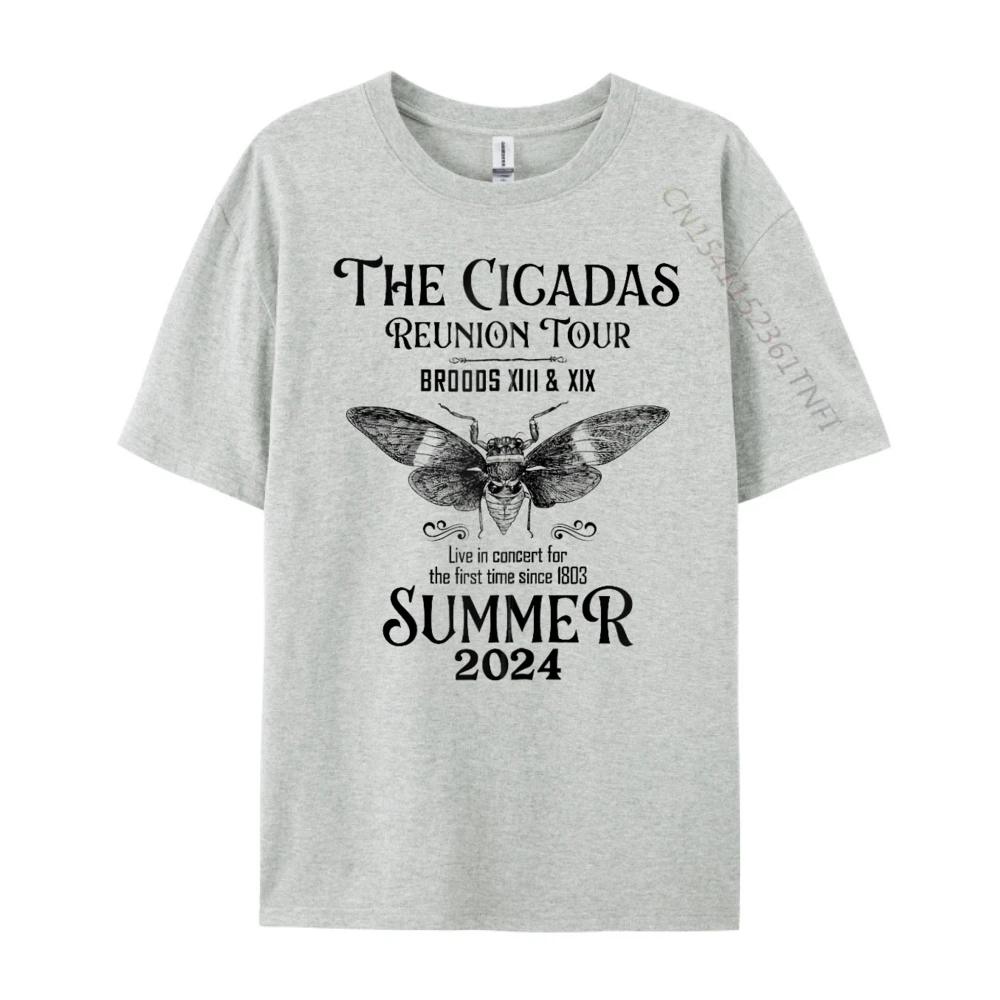 

Vintage Cicada Reunion Tour 2025 Funny Cicada Lover Oversized T Shirt Men Vintage Happy New Years Leisure