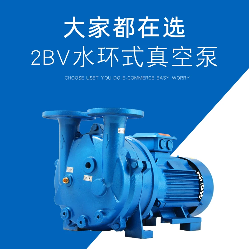 

Customized 2BV Series Water Ring Vacuum Pump, Cast Iron, Stainless Steel, High Vacuum Water Circulation Pumping Air Compressor f