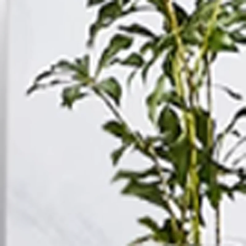 

Высококачественная машина для вспенивания молока с одной головкой и двойной головкой, машина для вспенивания молока