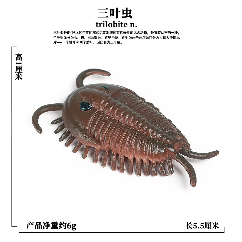 Sea Marine Animals Dolphin Crab Shark Turtle Model Action Figure Figurines Ocean Marine Aquarium Education Toy Children