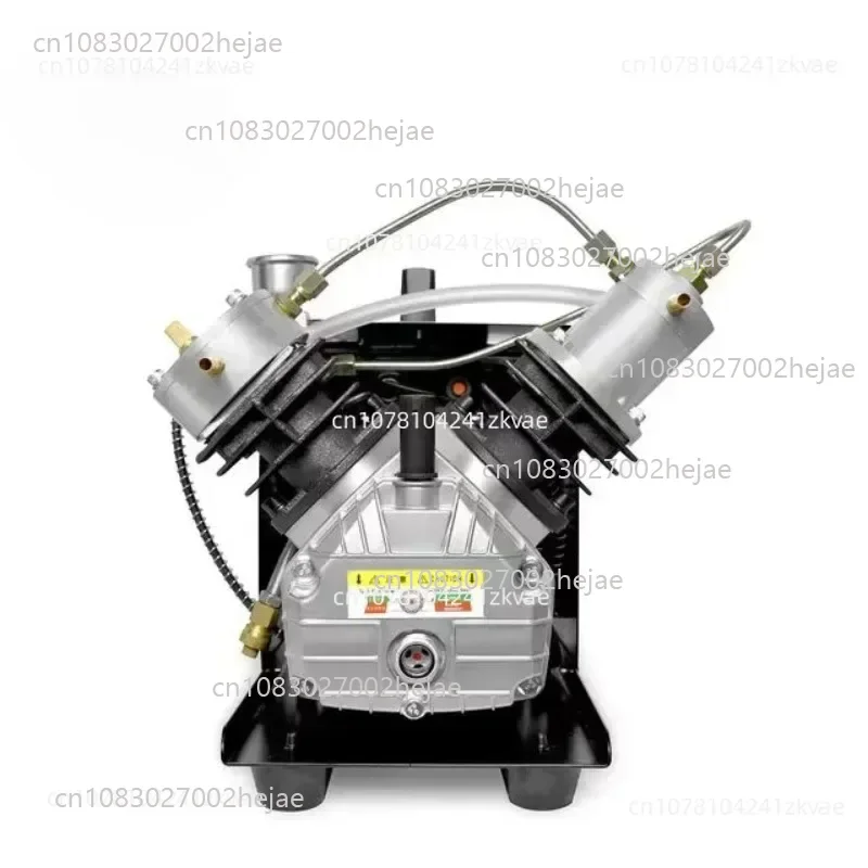

TXEDM041 4500Psi 300Bar PCP Воздушный компрессор Воздушный компрессор высокого давления с мини-двойным баллоном для подводного плавания с винтовкой 589844