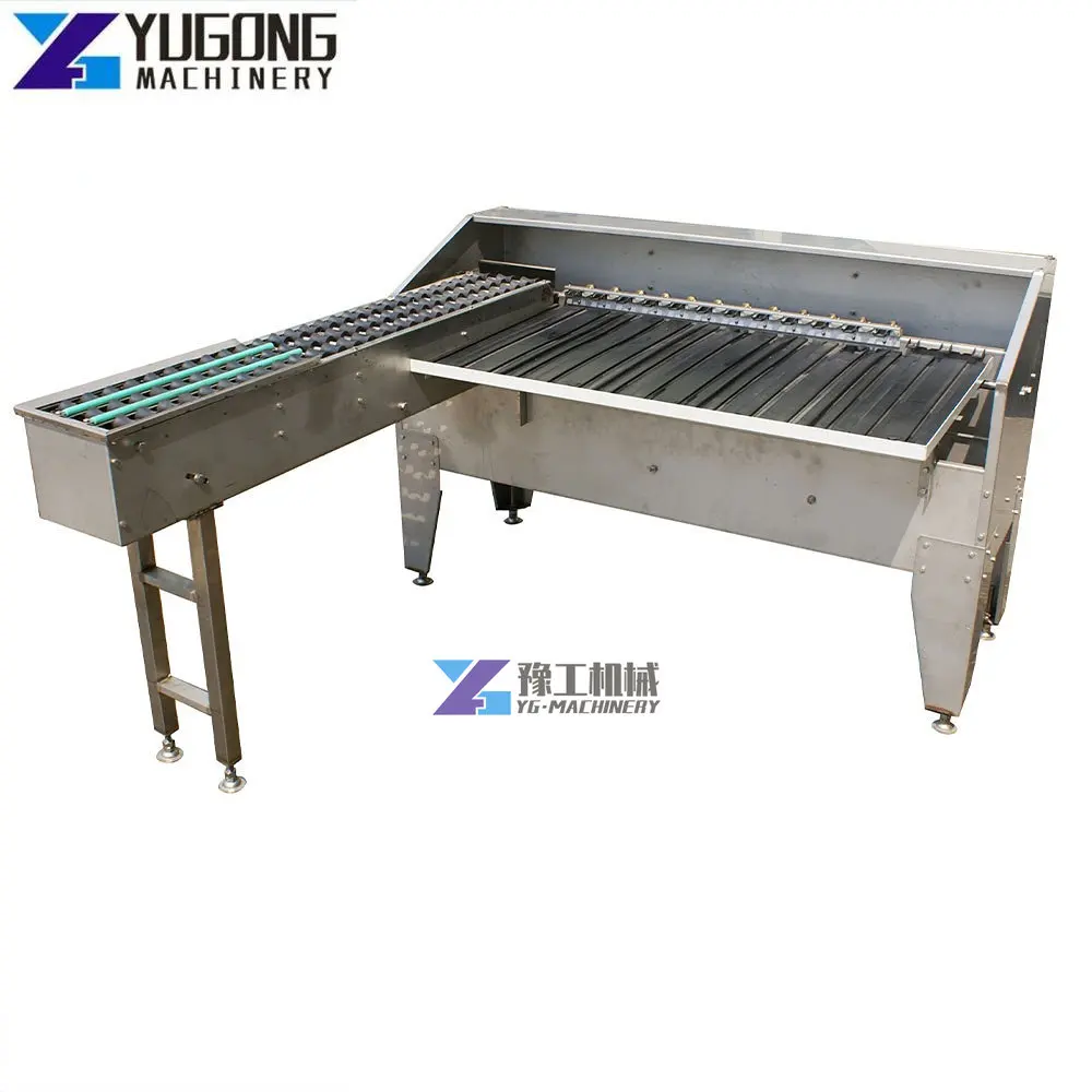 Factory Directly Supply Egg Grader Machine Egg Washing and Sorting Machine Egg Grading Machine for Sale