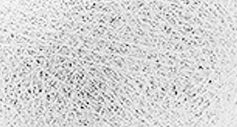 Penjualan Langsung Pabrik Aiju Logo Kustom Ukuran 5 Bola Sepak Latihan Desain Baru Kulit PU Bola Sepak Untuk Remaja Dan Dewasa