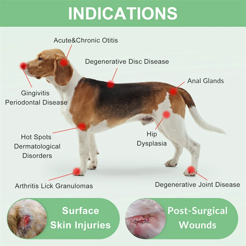 Thérapie au laser froid de faible niveau pour la thérapie des pieds au laser TMJ, utilisation avec les chiens et les chats, inflammation articulaire, sténose de la colonne vertébrale