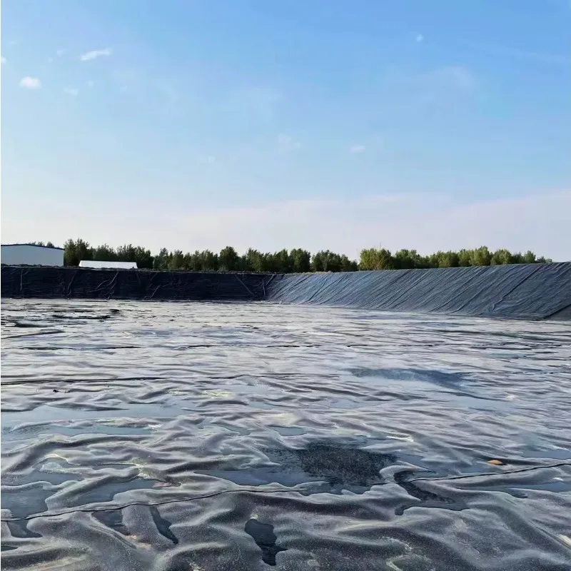 Heavy Duty HDPE Geomembrane Waterproof Sheet for Fish Farm Pond Dam Canal Landfill and Mining Applications Worldwide