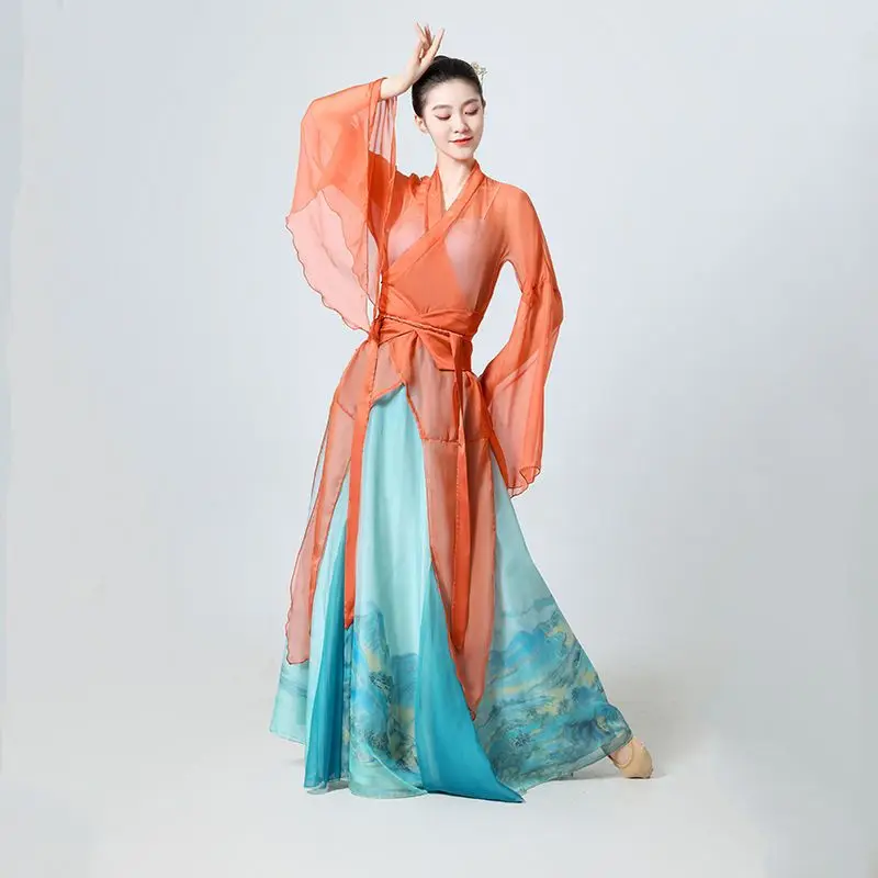 Chinese Style Folk Dance Dress Classical Dancer Performance Costumes Elegant Practice Clothes Chinese Chiffon Dnace Costume