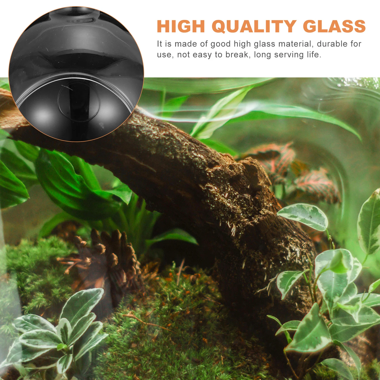 

1Pcs Eco Bottle Micro Landscape Glass Hanging DIY Terrarium Decor Small Plant Container Home Decoration DIY Terrarium Decor