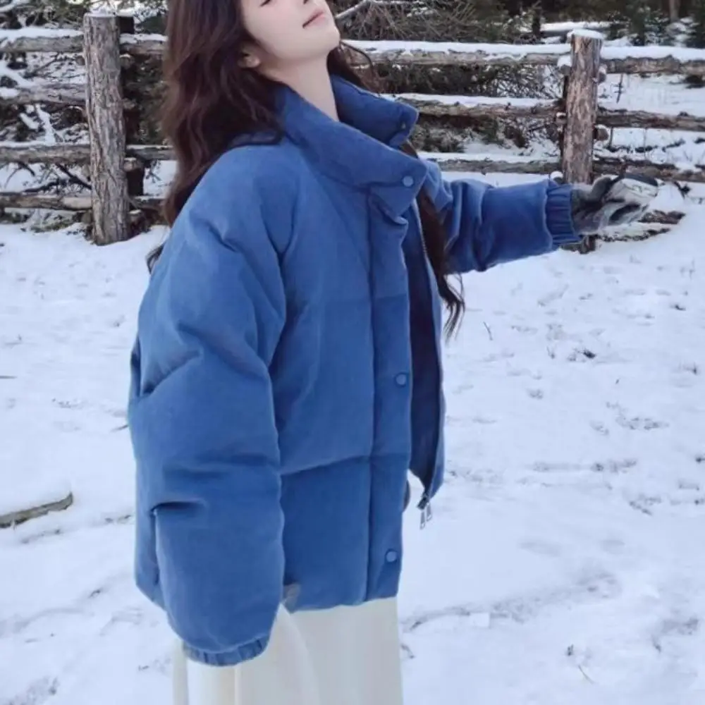 Cord-Baumwolljacke, Stehkragen, Winter, neue kurze Jacke, verdickt, heißer Artikel