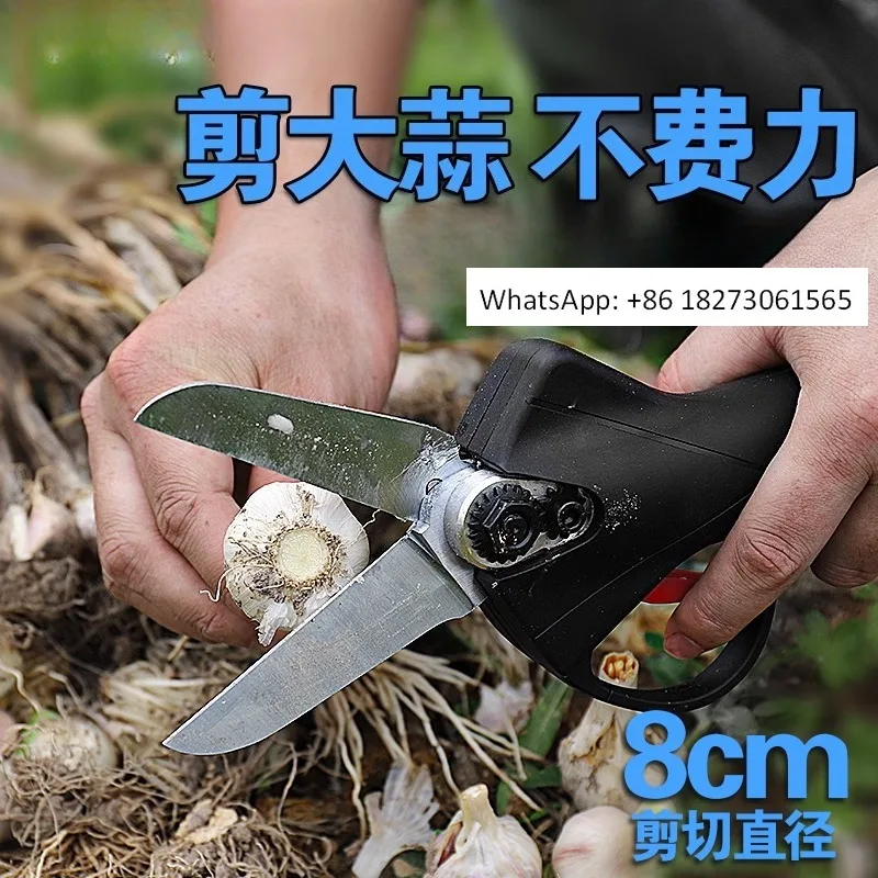 

Garlic electric scissors