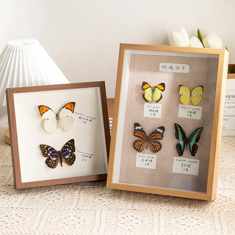 3D Hollow  Specimen Display Frame DIY Square Plant Clay Dried Flower Picture Frame Home Decor Density Board Material