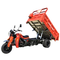 200cc,250cc tricycle motorcycle cargo tricycle dump motorized tricycle for freight