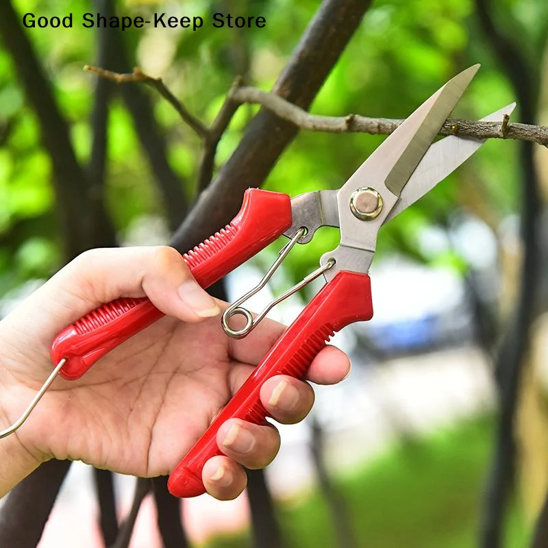 dailyHeavy Duty Straight Tip Pruning Shears Anti-rust Coating for Outdoor Yard Branch Indoor Potted Plant TrimmingDaily products