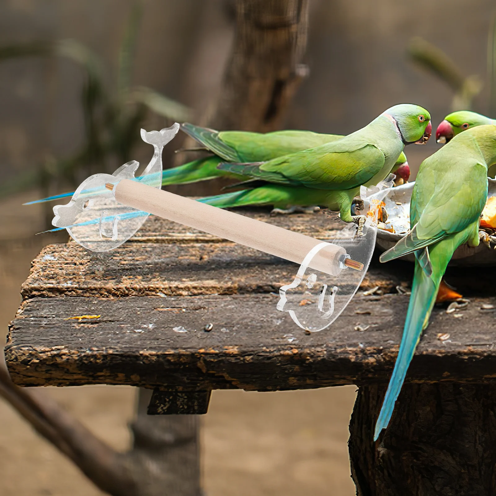 

Desktop Bird Perch Stand Parrot Training Durable Play Chewing Game For Pet Birds Tabletop Use Bird Cage Accessory