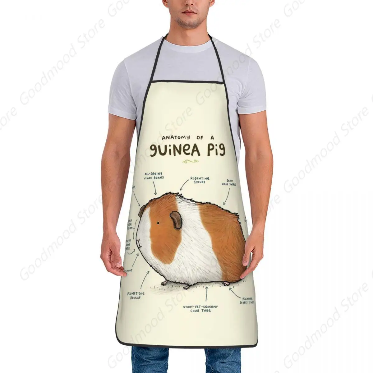 Anatomy Of A Guinea Pig Aprons Chef Cooking Baking Tablier Sleeveless Bib Kitchen Cleaning Pinafore for Women Men Painting