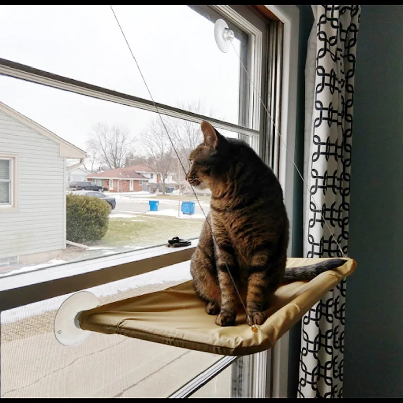 Haustier Katze Hängematte hängen Katzen bett bequeme Katze sonnige Fenster Sitz halterung Kätzchen Kletter rahmen Haustier Spielzeug