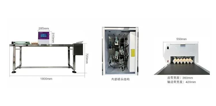 Full-Automatic Six-Nozzle Whole Plate Spray Printing Production Date Duck Egg Eggs Inkjet Printer