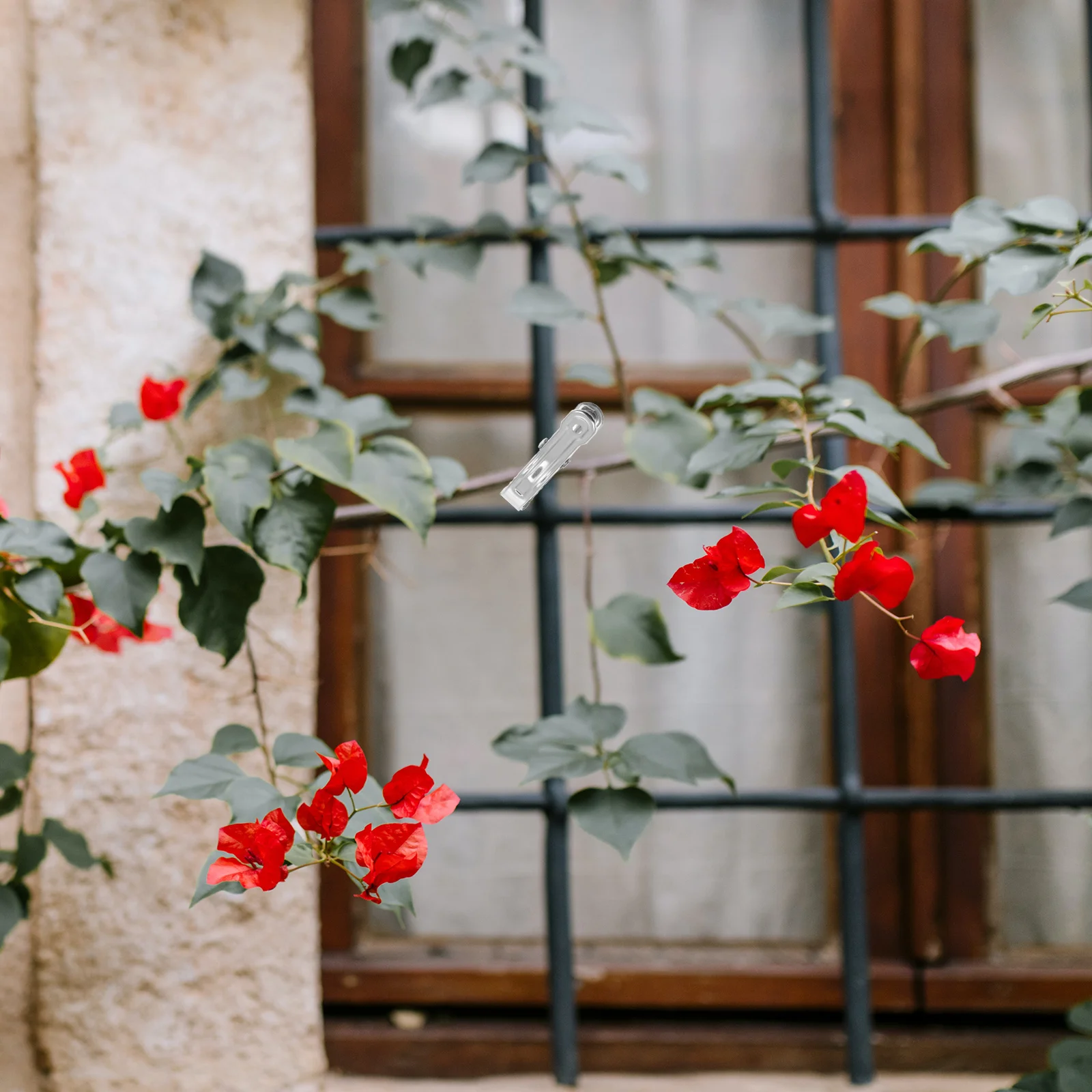 60 قطعة مقاطع حديقة يندبروف الثقيلة الملابس المعدنية تجفيف المشبك ل منشفة لحاف الملابس الداخلية في الهواء الطلق شرفة العملي تحديد #1