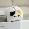 Calico Cat