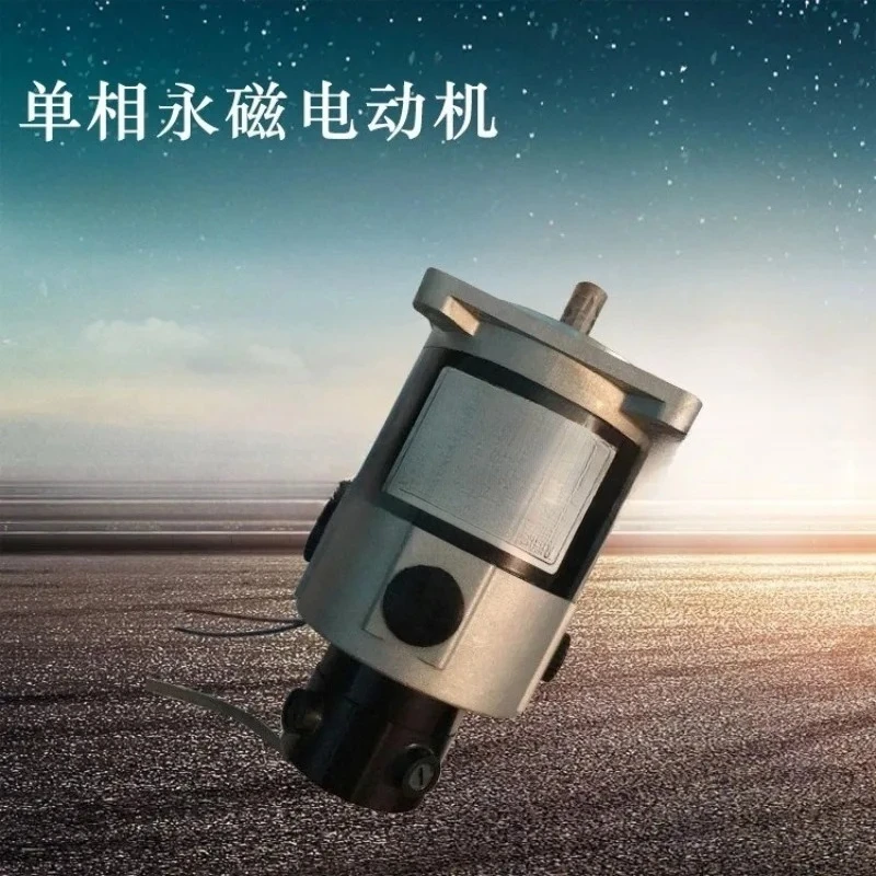 Stable supply performance Single-phase permanent magnet motor runs smoothly 82SYT-60 motor