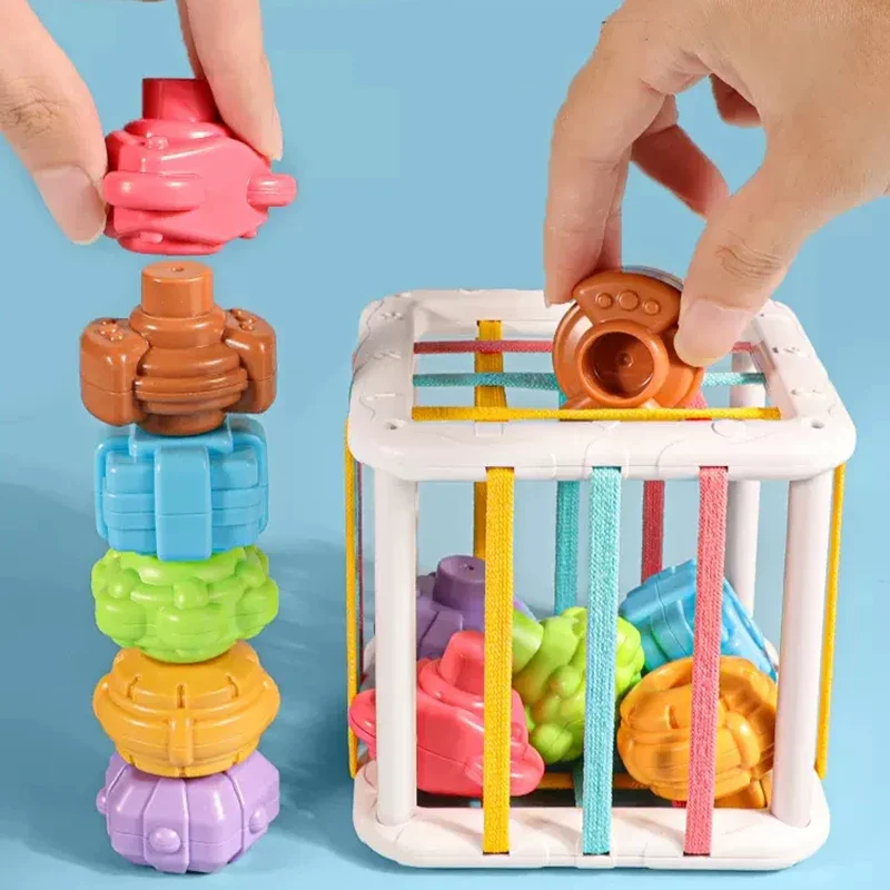 Jeu de tri de blocs de formes colorées pour bébé, jouets d'apprentissage Montessori pour enfants, cadeau de naissance, nouveau, 0 à 12 mois