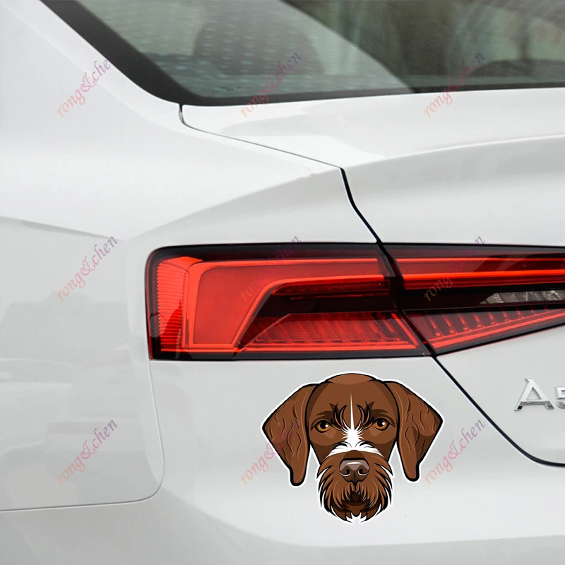 Animal Car Sticker Hunting Dog German Wirehaired Pointfor Car Motorcycle Racing Helmet Laptop Trunk Body Car Window PVC Decals