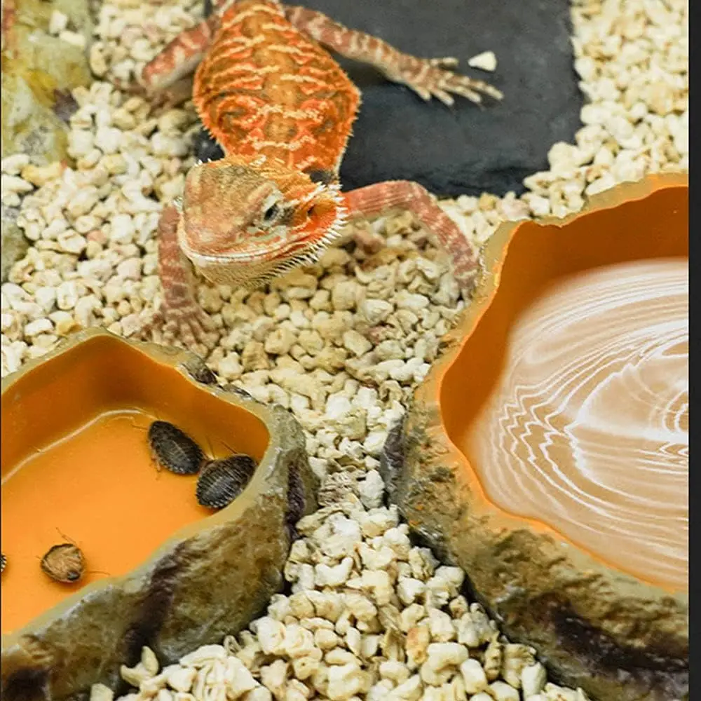 Thumbnail 3 - #7 Reptile Water Bowls Comparison Guide