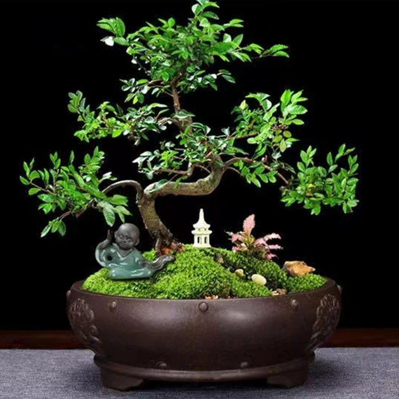 Chinese Traditional Craft Vintage Rivet Relief Plant Bonsai Flower Pot Home Living Room Tea Art Decoration Cactus Orchid Pots