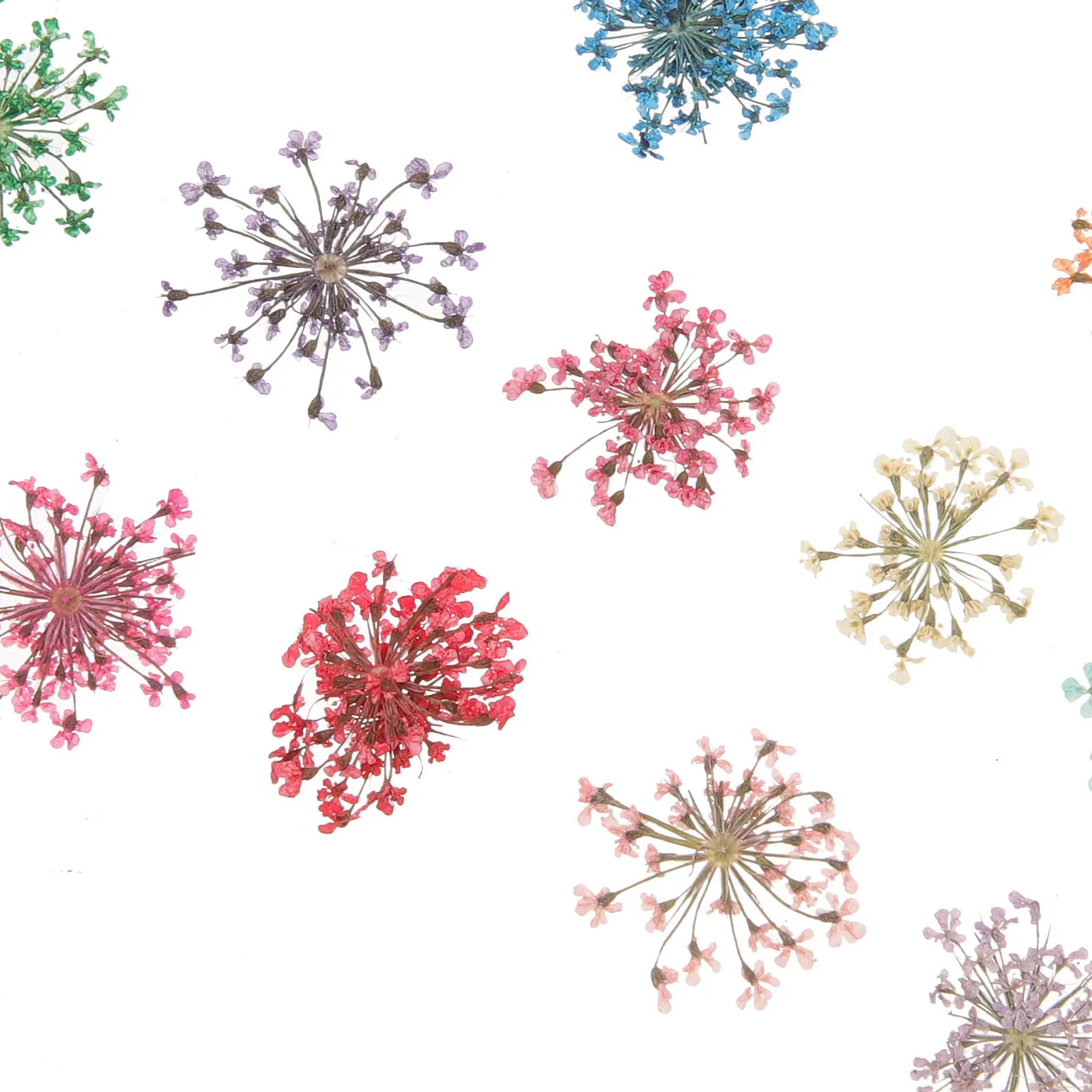 

3 Box Dried Flower Resin Glue Drop Set Accessory Flowers Three-dimensional DIY Nail Art Epoxy Natural Ornament