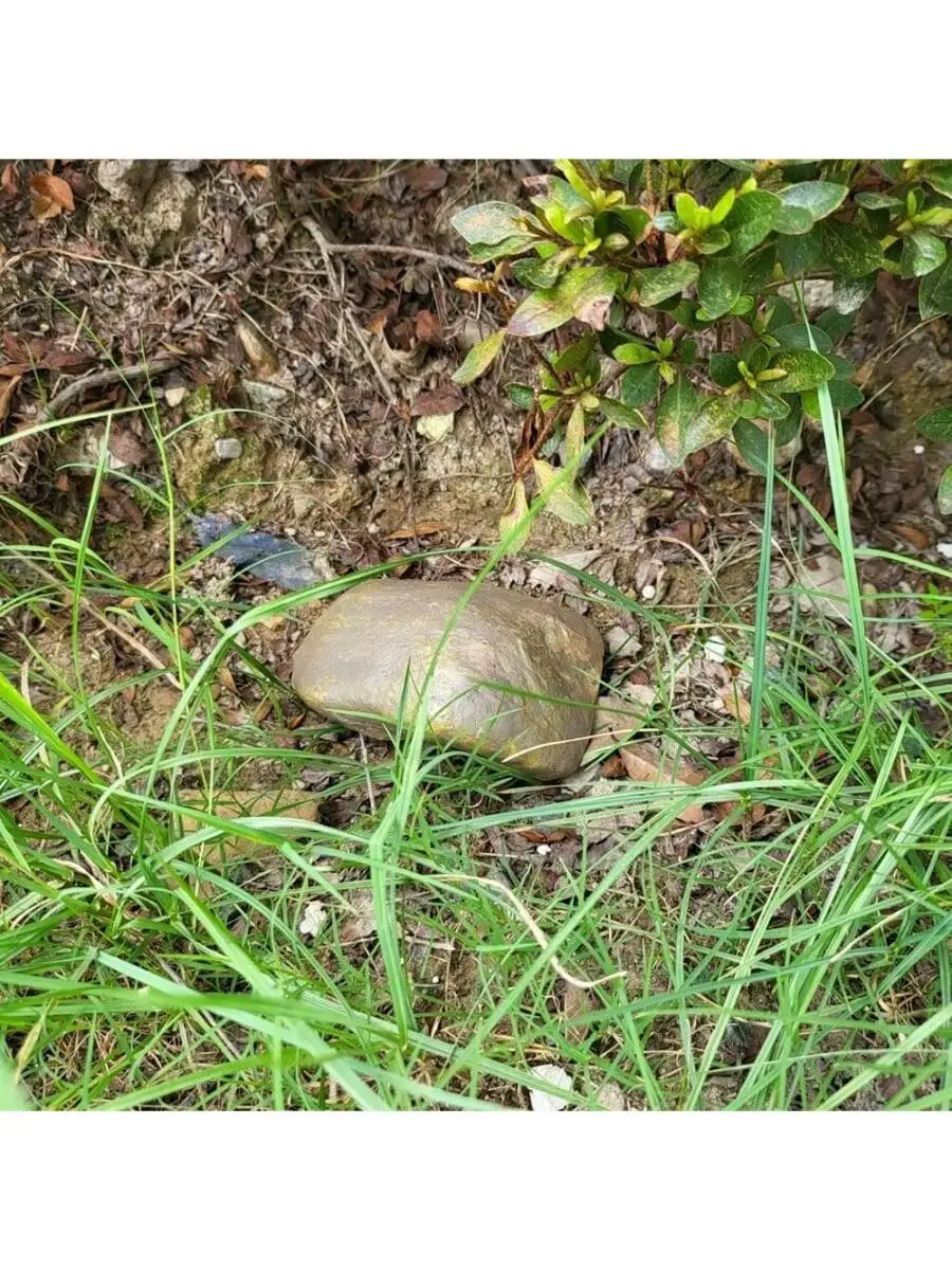 Mini Safe Secret Store Unexpected Storage Box Incredible Case Surprise Hiding Hidded Stone Hide Items as Cash Precious Jewelry G