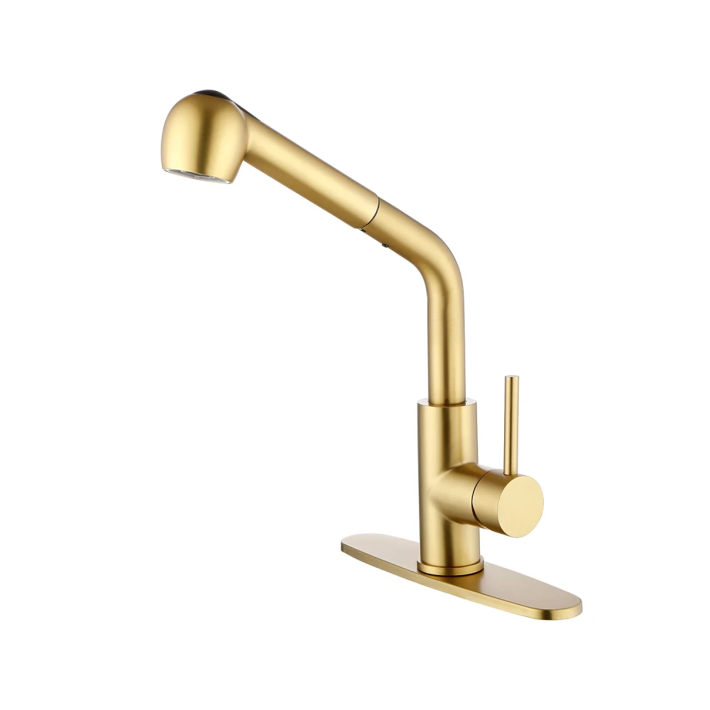 

Single Handle Kitchen Sink Faucet with Pull Out Sprayer