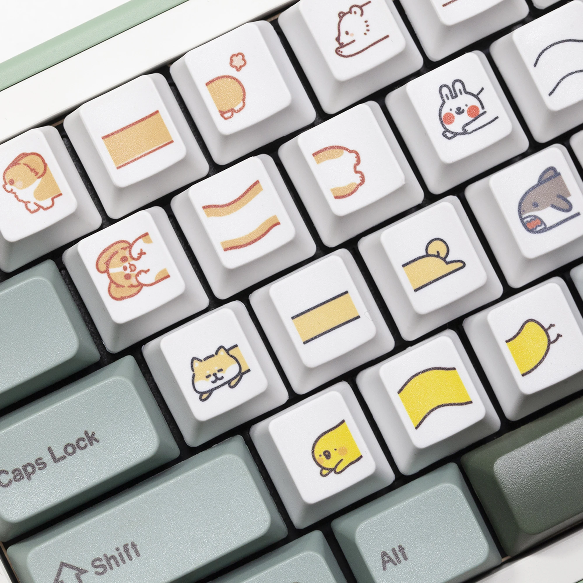 Cute Little Puppy K…