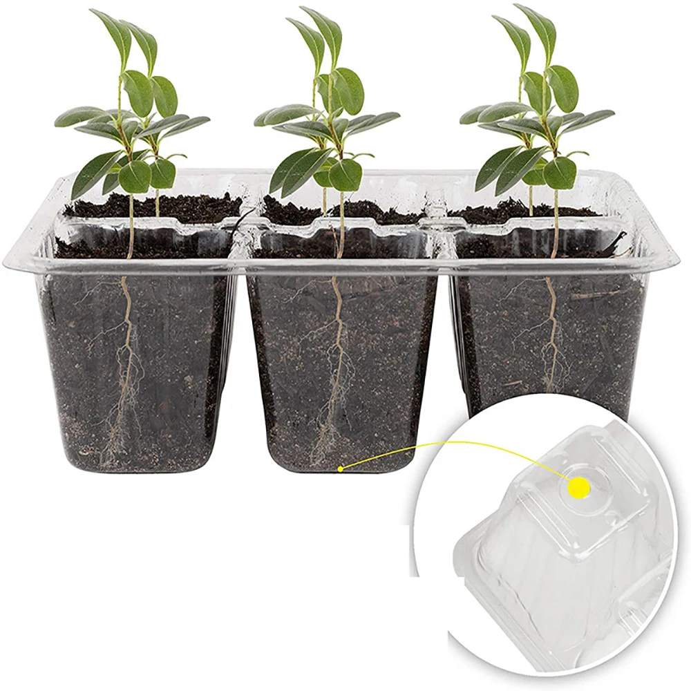 Seed Starter Trays with Grow Light, Seeding Starter Kits with Humidity Domes Cover, Indoor Gardening Plant Germination Trays - view 3