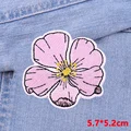 PE7832CT