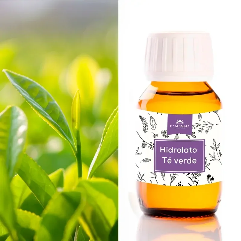 Camassia Hidrolato de té verde | Hidrolatos y Aguas florales para cosmética | Camelia sinensis - con conservante Cosgard